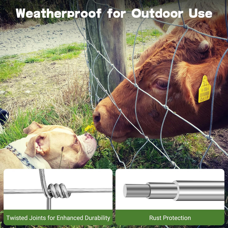 5ft x 164ft Galvanized Farm Fence, Cattle Fence, Hog Wire Fence Panels, Wire Fence Rolls, Heavy Duty Wire Mesh for Deer, Pig, Sheep Enclosure for Yard, Garden, Field Use-14 Gauge