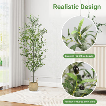 6 FT Faux Olive Tree Indoor, Tall Artificial Silk Olive Tree 6 FT, Large Indoor Fake Olive Trees with Realistic Leaves, Branches, Fruits, Faux Olive Trees Artificial Plants for Home (6 Feet)