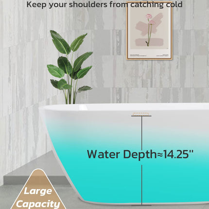 63" Acrylic Freestanding Bathtub, Glossy White Contemporary Soaking Tub with Toe-Tap Chrome Drain, Integrated Slotted Brushed Nickel Overflow, 61 Gal cUPC Certified Tub